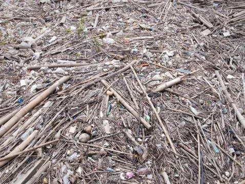 Full Frame Background of Garbage Pile with Wood Sticks and Plastic Foto stock