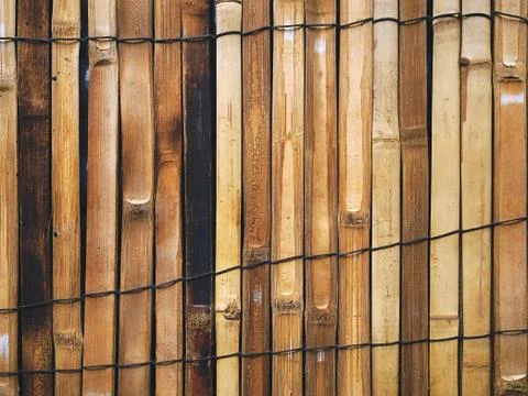 Full Frame Background of Oriental Style Bamboo Fence Stock-Fotos