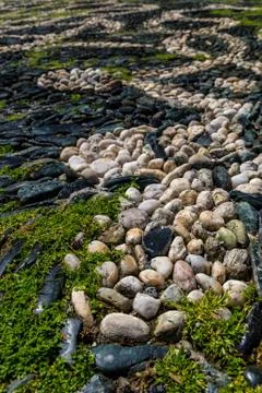 Full frame background of pebble pavement Stock Photos