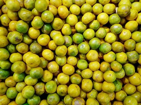 Full Frame Background of Pile of Fresh Tangerines with Selective Focus Stock Photos