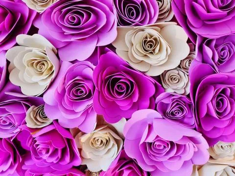 Full Frame Background of Pink and White Roses Decorated for Celebration Event Foto stock
