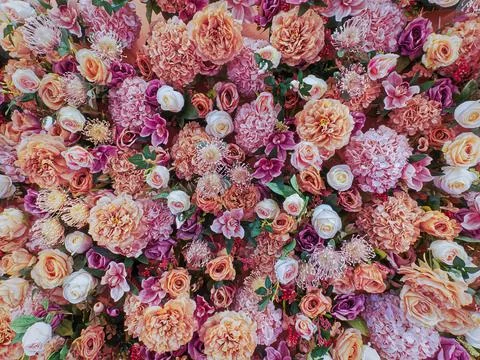 Full Frame Background of Pink Orange and White Flowers Stock Photos