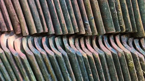 Full Frame Background of Stacked Weathered Terracotta Roof Tiles with Moss Fotos de archivo