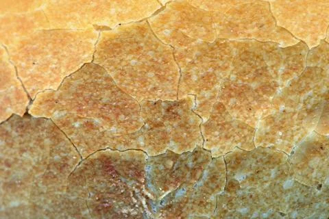 Full frame background texture of german bread roll Stock Photos