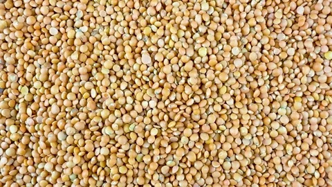 Full frame background texture of raw brown lentils masoor dal grains Stock Footage 340581259