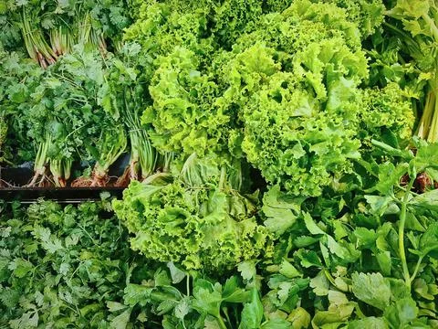 Full Frame Background of Various Kinds of Fresh Green Vegetables for Sale Foto stock