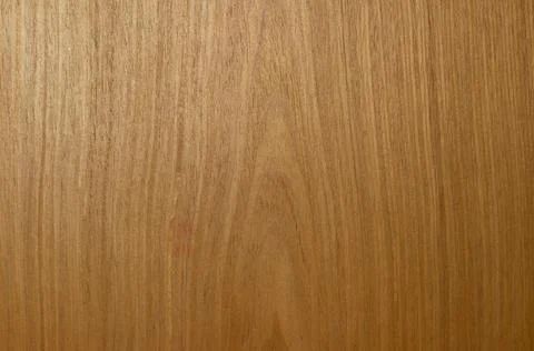 Full frame brown wood surface of the entrance door Stock Photos