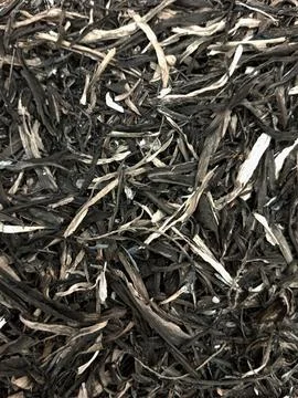Full frame of burnt leaves ashes. Stock Photos