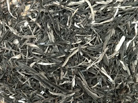 Full frame of burnt leaves ashes settled after fire Stock Photos