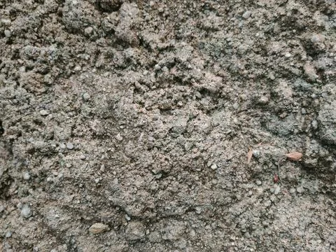 A full-frame close-up of a coarse, weathered concrete surface embedded with.. Stock Photos