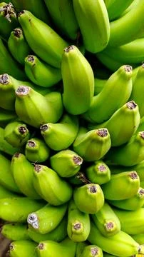 Full Frame Close Up of Fresh Raw Green Unripe Bananas in a Bunch Stock Photos
