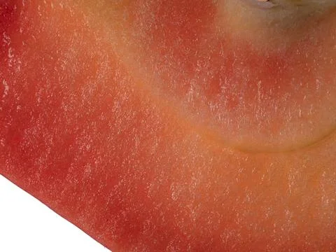 Full frame close-up view of a backlit sliced red apple pulp surface Photos