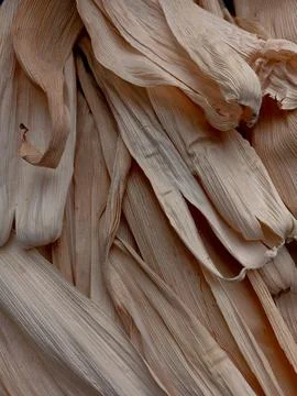 Full frame of dried corn husk. 库存照片