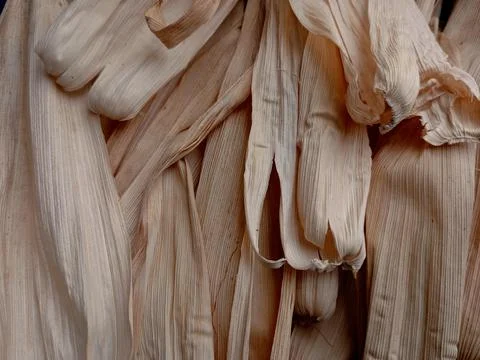 Full frame of dried corn husk. 库存照片