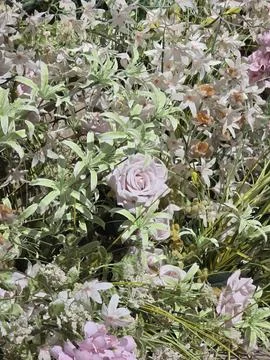 Full frame of elegant artificial floral arrangement with pink roses and white bl Stock-Fotos