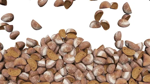 Full frame of falling fresh crusts of unleavened bread on white background. Vídeo Stock 294491607