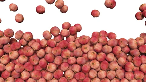 Full frame of falling fresh pomegranate fruits on white background. Vídeo Stock 294488614
