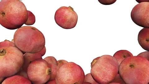 Full frame of falling fresh pomegranate fruits on white background. 스톡 동영상 294488810