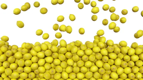 Full frame of falling lemons on white background. 스톡 동영상 274626817