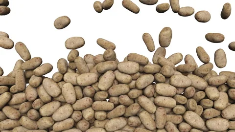 Full frame of falling raw potatoes on white background. Vídeo Stock 295877178