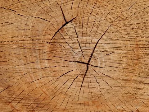 Full frame flat brown wood texture background Stock Photos