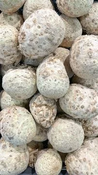 Full frame of fresh raw celeriac roots on display at a supermarket grocery .. Foto stock