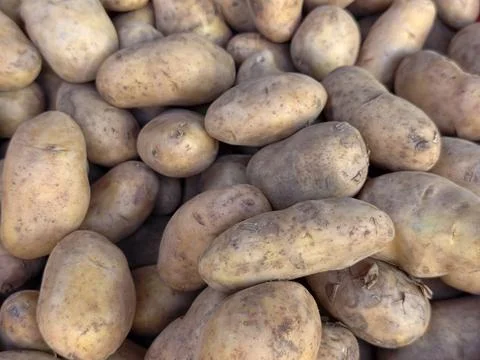 Full frame of fresh raw potatoes texture background Photos