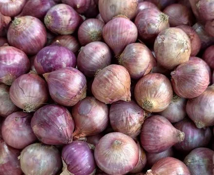 Full frame of fresh red shallots texture background Foto stock