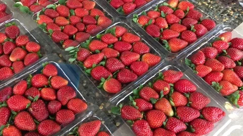 Full frame of fresh ripe strawberry for sale, h264 codec Stock Footage 81532849