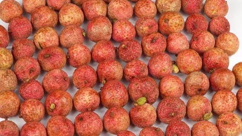 Full Frame Glossy Ripe Lychees Shiny with Water Drops Stock Footage 337326301