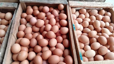 A full frame, high-angle close-up shot of hundreds of fresh brown chicken eggs. Stock Footage 318602906
