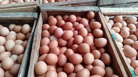 A full frame, high-angle close-up shot of hundreds of fresh brown chicken eggs. Stock Footage 318603254