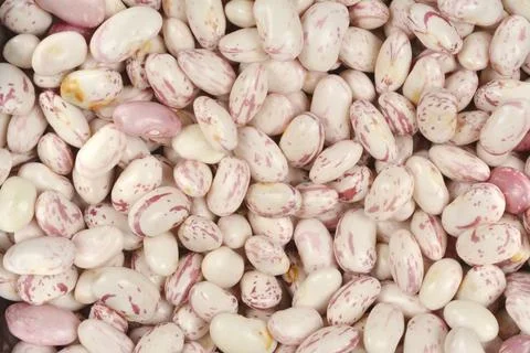 Full frame horizontal background of raw speckled cranberry beans Stock Photos
