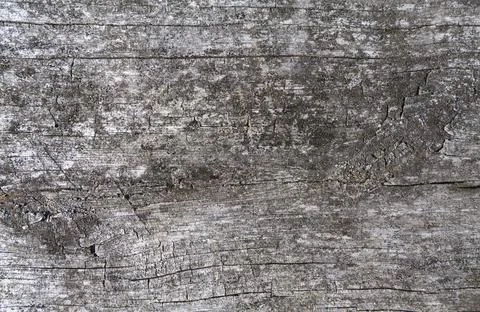 Full frame image of old gray wooden background. Copy Space area for text. Stock Photos
