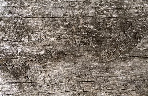 Full frame image of old gray wooden background. Copy Space area for text. Stock Photos