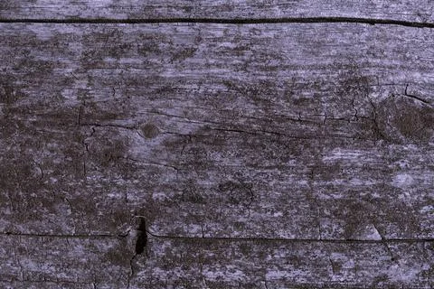 Full frame image of old gray wooden background. Copy Space area for text. Stock Photos