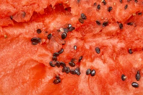 Full frame image  of watermelon texture with seeds. Stock Photos