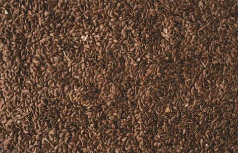 Full frame of linseed flaxseed Stock Photos