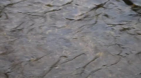 Full frame of lively running water Stock Footage 54635077