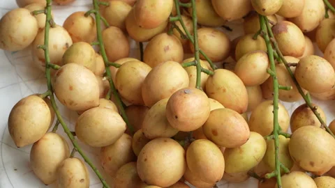 Full Frame Macro Background of Harvested Ha Chau Baccaurea Fruits Vidéo 335547095