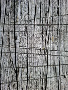 Full frame macro shot showing weathered grey wood grain with deep cracks an.. Photos