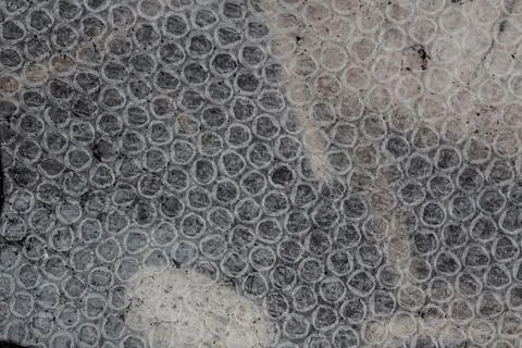 Full Frame Macro Texture of Protective Polyethylene Air Bubble Film, Gray S.. Stock Photos
