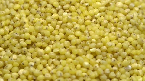 Full-frame of Millet grains. Proso Millet seeds in rotation Stock Footage 124181299