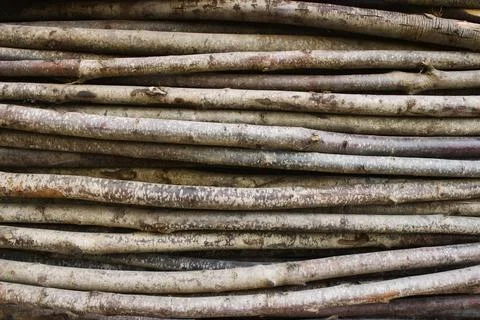 A full-frame nature concept background with a bundle of stacked twigs Stock Photos
