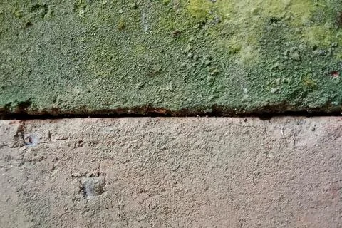 Full Frame of Old Bricks with Green Moss Texture Stock Photos