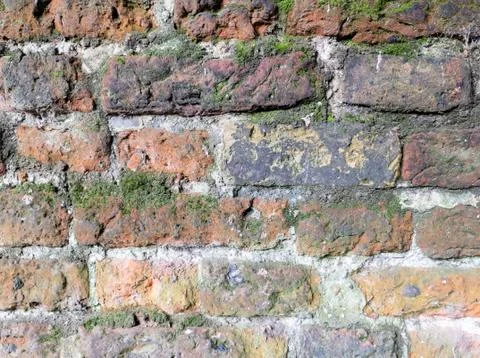 Full frame old red brick wall with moss Stock Photos