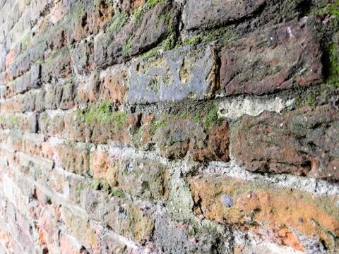 Full frame old red brick wall with moss Stock Photos