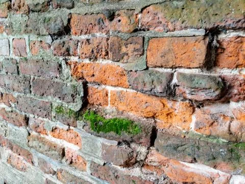 Full frame old red brick wall with moss Foto stock