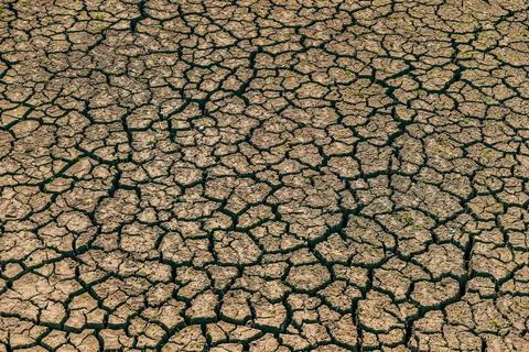 Full frame pattern of parched dry earth with deep cracks. Concept of severe.. Stock Photos
