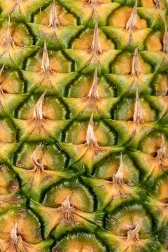 Full frame of pineapple peel as background. Abstract pineapple peel background. Stock Photos